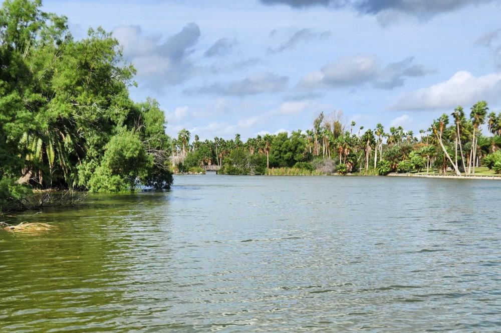 Riverfront Family Home Yard, Orchard, Dock!
